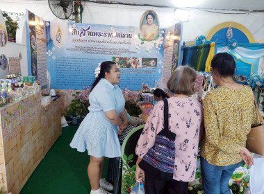 งาน “สีสรรพรรณไม้ เทิดไท้บรมราชินีนาถ” ประจำปี 2568 ... พารามิเตอร์รูปภาพ 74